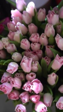 Yeşil yapraklı bir demet yumuşak pembe lale tomurcuğu. Doğal ışıkla aydınlatılmış. Huzurlu ve zarif bir çiçek aranjmanı oluşturuyor. Boşluğu kopyala.