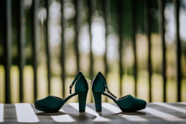 Valmiera, Letonya - 24 Ağustos 2024 - Topukların arasında yüzükle donatılmış, dikey gölgeli bulanık yeşil bir arka plan üzerine kurulmuş bir çift yüksek topuklu deniz mavisi..