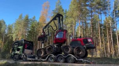 Gulbene, Letonya - 15 Ekim 2024 - Ağaç kesme işlemleri için ormandaki yeşil bir kamyona bağlı hidrolik kancalı bir orman makinesi boşaltılıyor..