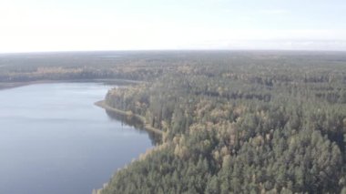 Uçsuz bucaksız bir ormanlık alan ve sakin bir göl manzarası, pürüssüz kamera hareketleriyle arazi boyunca bir dron tarafından yakalanır..