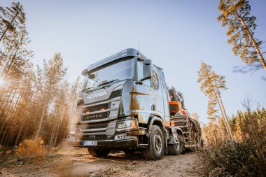 Gulbene, Letonya - 15 Ekim 2024 - Açık bir günde uzun ağaçlar ve kırsal manzarayla çevrili, güneşli bir orman yolunda ağaç kesme ekipmanı çeken siyah kamyon. Scania