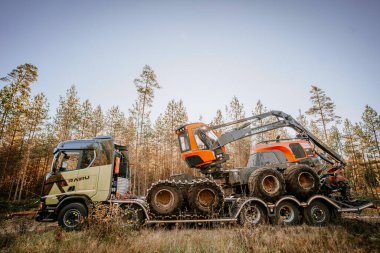 Gulbene, Letonya - 15 Ekim 2024 - Kamyon, yüksek ağaçlarla çevrili ve açık mavi bir gökyüzünün altında bir orman bölgesinde ağır kereste ekipmanları taşıyor..