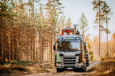 Gulbene, Letonya - 15 Ekim 2024 İskandinav RAIRU kamyonu kereste ekipmanlarıyla birlikte ağaçlarla kaplı toprak yol boyunca güneşli bir sonbahar ormanı boyunca ilerliyor..