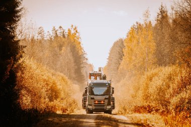 Gulbene, Letonya - 15 Ekim 2024 - Büyük bir kamyon, kırsal bir toprak yol boyunca canlı altın yapraklarla çevrili, güneşli bir sonbahar ormanından bir orman hasatçısı taşıyor..