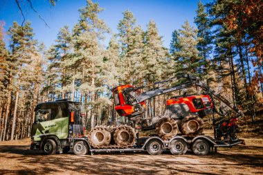 Gulbene, Letonya - 15 Ekim 2024 Bir kamyon kırmızı Komatsu ormancılık makinesini römorkla taşıyor, açık mavi gökyüzünün altında bir çam ormanına park etmiş,.