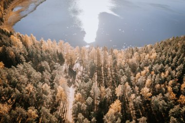 Gulbene, Letonya - 15 Ekim 2024 - Güneş ışığının suya yansıdığı bir göl kenarındaki bir sonbahar ormanının havadan görünüşü, ağaçların arasında uzun gölgeler oluşturur..