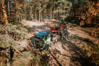 Gulbene, Letonya - 15 Ekim 2024 - Bir karavanda kırmızı bir Komatsu orman makinesi taşıyan İskandinav kamyonunun uzun çam ağaçlarıyla çevrili bir ormanda görüntüsü.