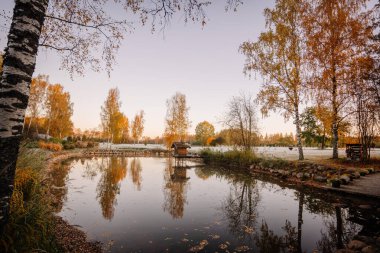 Valmiera, Letonya - 18 Ekim 2024 - Durgun sulara yansıyan küçük bir gölet, huş ağaçları ve altın yapraklı sakin bir sonbahar manzarası. Gökyüzünü temizle ve uzayı kopyala.