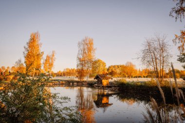 Valmiera, Letonya - 18 Ekim 2024 - Sakin bir gölette yansıyan altın ağaçlarla dolu sakin bir sonbahar sahnesi ve berrak bir gökyüzünün altında küçük tahta bir yapı.