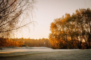 Buzlu çimenler, altın ağaçlar ve çimenlerde parlayan yumuşak güneş ışığıyla dolu bir golf sahasında huzurlu bir sonbahar sabahı..