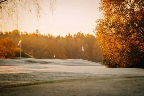 Golf sahasında sakin, soğuk bir sabah, verimli sonbahar ağaçları ve güneş ışığı çimenli yolda yumuşak gölgeler bırakıyor..