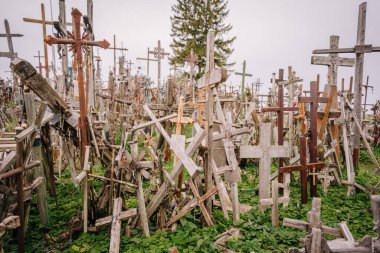 Siauliai, Lithuania, October 21, 2024 A large collection of wooden crosses, crucifixes, and rosaries displayed at Kryzi Kalnas (Hill of Crosses), symbolizing faith, devotion, and pilgrimage. clipart