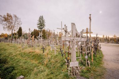 Siauliai, Litvanya, 21 Ekim 2024. Kryi Kalnas 'ta sergilenen ahşap haçlar, haçlar ve haçları simgeleyen büyük bir kolleksiyon..