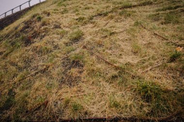 Vilnius, Lithaunia - October 22, 2024 - A close-up of a grassy hillside with dry patches and exposed metal reinforcements, showing erosion control measures. clipart