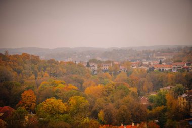 Vilnius, Lithaunia - 22 Ekim 2024 - Sonbahar manzarası ile renkli ağaçlar ve uzakta küçük bir kasaba, tepeler ve yumuşak sisli bir gökyüzü.