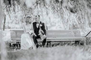 Valmiera, Letonya - 24 Ağustos 2024 Bir gelin ve damat bir ağacın altındaki bankta oturur, gülümseyerek birbirlerine bakarlar, yumuşak, doğal ışık ve yapraklı dallarla çevrili..