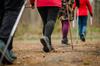 Valmiera, Latvia - November 6, 2024 - Close-up of hikers legs on a forest trail, showing sturdy boots and trekking poles as they walk together on an outdoor path clipart