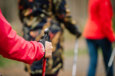 Valmiera, Latvia - November 6, 2024 - Close-up of a hikers hand gripping a trekking pole during a forest hike, with companions blurred in the background, dressed in vibrant outdoor gear clipart