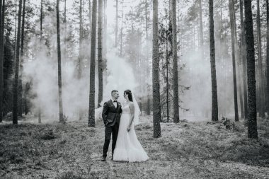 Koknese, Letonya - 26 Eylül 2023 - Gelin ve damat sisli bir ormanda, birbirlerine bakarak, uzun ağaçlar arasında romantik, siyah-beyaz bir düğün portresi oluşturuyorlar..