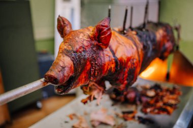 Aloja, Letonya - 16 Kasım 2024 Altın-kahverengi tenli kızarmış bir domuz, mükemmel pişirilmiş, tepside et ve kırıntılarla.