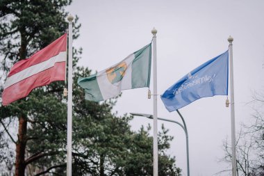 Valmiera, Latvia - November 25, 2024 - Three flags waving on flagpoles outdoors: Latvian national flag, a green and white flag, and a blue Valmieras dens flag, with trees in the background clipart