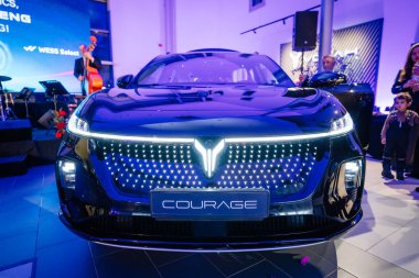 Riga, Letonya - 2 Aralık 2024 - Dongfeng Courage elektrikli arabasının ön görüntüsü aydınlatmalı ızgara, parlak tasarım ve modern ışıklandırma kapalı bir etkinlikte.