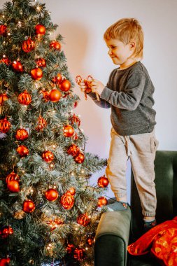 Valmiera, Letonya - 15 Kasım 2024 - Kanepede duran genç bir çocuk, Noel ağacını şeker kamışları ve kırmızı süslemelerle süslüyor, bayram atmosferinin tadını çıkarıyor..