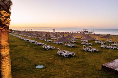 Türkiye, Belek - 24 Şubat 2020 - Boş plaj şezlongları ve sazlanmış şemsiyeler gün doğumunda çimenli bir alanda, arka planda iskele ve sakin bir deniz ile.