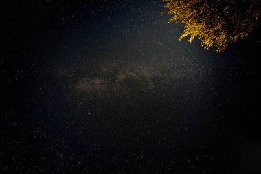 Samanyolu ile yıldızlı gece gökyüzü, soluk takımyıldızları, ve üst köşedeki sıcak ışıkla aydınlatılmış ağaç dalları.