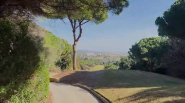 Sotogrande, İspanya - 26 Ocak 2024 - Arka planda yemyeşil ağaçlarla çevrili bir golf sahasının manzarası.