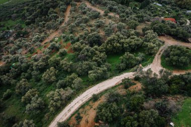 Gaucin, İspanya - 27 Ocak 2025 - Yoğun yeşillikler, dağınık ağaçlar ve sakin kırsal kesimdeki küçük ekili alanlarda kıvrılan toprak yolun havadan görünüşü.