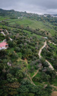 Gaucin, İspanya - 27 Ocak 2025 - Dağınık evler, dolambaçlı toprak yollar, ağaçlar ve bulutlu bir gökyüzü altında çimenli tepeler bulunan yemyeşil bir kırsal alan manzarası.