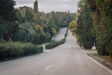 A quiet road lined with lush green trees and bushes, leading into a peaceful forested area under a cloudy sky. clipart