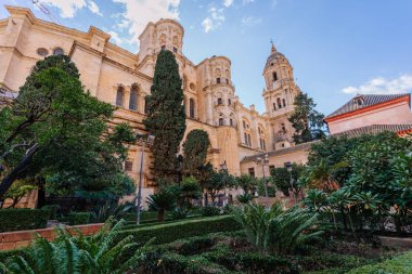 Endülüs, Malaga - 31 Ocak 2025 - Yeşillik ve palmiye ağaçları ile çevrili Malaga Katedrali, berrak mavi gökyüzü ve sakin bir bahçe yaratıyor.