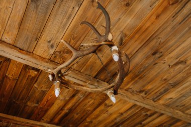Lubana, Letonya - 15 Şubat 2025 - Geyik boynuzlarından yapılan kırsal bir avize ahşap bir tavanda asılı, LED ampuller ve bir zincir süspansiyonu, sıcak, ülke tarzı bir dekor yaratıyor.