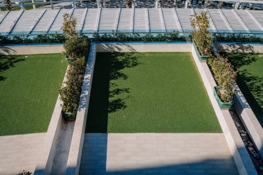 Suni otlar, saksı bitkileri ve parlak güneş ışığı altında geometrik yollar içeren modern bir doğa tasarımı..