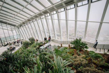 Londra, Birleşik Krallık - 12 Kasım 2022 - Sisli bir şehir manzarasına bakan geniş pencereli modern cam bir binada yemyeşil, oturma alanları ve ziyaretçileri olan yemyeşil bir bahçe.