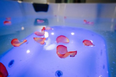 Lüks bir jakuzinin yakın plan çekimi. Parlayan mavi su ve yüzeyde yüzen narin gül yapraklarıyla romantik ve rahatlatıcı bir ortam yaratıyor..