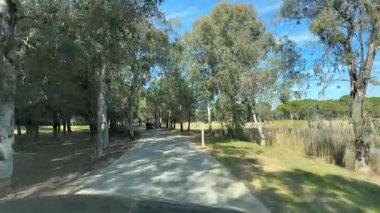 Belek, Türkiye - 25 Şubat 2025 - Önünde golf arabası olan sakin ağaçlarla kaplı bir yol sakin yansıtıcı bir göletin yanındaki güneşli bir parktan geçiyor ve huzurlu bir doğal manzara yaratıyor..