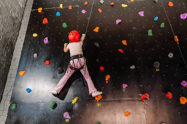 Valmiera, Letonya - 28 Mart 2025 - Güvenlik kemeri ve kırmızı miğferli genç kız, tırmanma rotasındaki bir sonraki kavrama noktasına ulaşmak için renkli kolları olan kapalı bir kaya duvarına tırmanıyor..