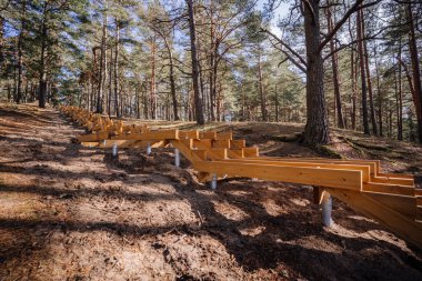 Uzun, ahşap bir merdiven, yüksek çam ağaçları ve doğal orman arazisiyle çevrili metal desteğiyle ormanlık bir tepenin üzerinde yapım aşamasındaydı..