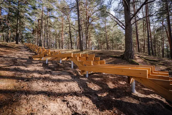 Uzun, ahşap bir merdiven, yüksek çam ağaçları ve doğal orman arazisiyle çevrili metal desteğiyle ormanlık bir tepenin üzerinde yapım aşamasındaydı..