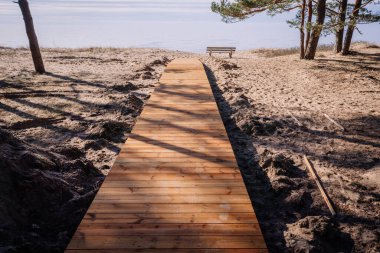 Kum tepeleri boyunca uzanan tahta tahta patika yolu berrak bir gökyüzünün altında sakin bir denize bakan, seyrek çam ağaçlarıyla çevrili bir banka doğru gidiyor..