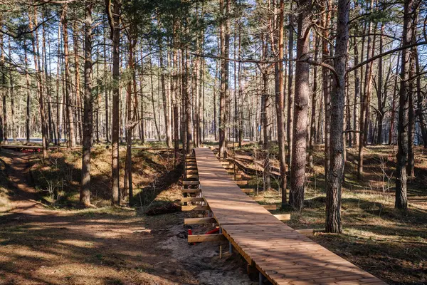 İnşaat halindeki tahta kaldırım, ağaçların gölgeleriyle metal destekli, huzurlu bir çam ormanı boyunca uzanır..