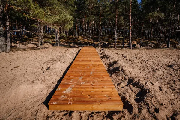 Yeni inşa edilmiş tahta kaldırım kumlu sahilden yoğun bir çam ormanına uzanır. Ağaçların gölgeleri gün ışığının altında kalır..