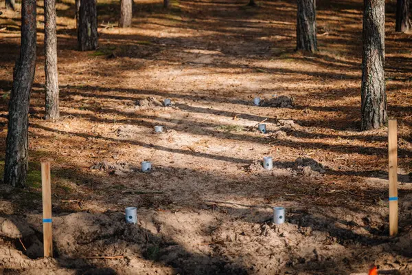 Orman toprağında sıra sıra dizilmiş metal zemin çapaları, yapım çalışmalarının ilk aşamasını işaret ediyor. Ormanlık alanda bir platform veya patika için..