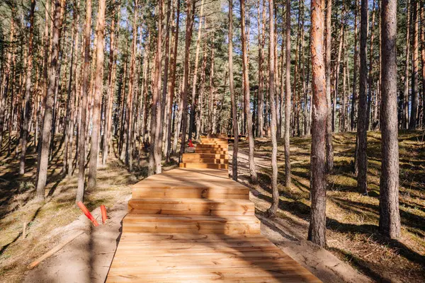 İnşaat halindeki ahşap merdivenler yoğun bir çam ormanında, açık bir günde doğal manzara ve yumuşak güneş ışığıyla çevrili yokuş yukarı gidiyor..