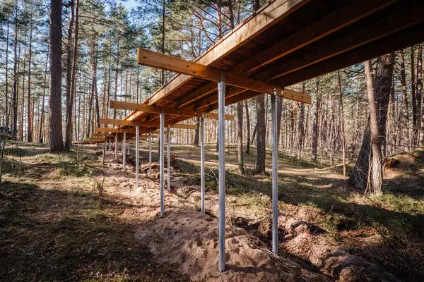 Kumlu orman toprağına gömülü metal vida yığınları tarafından desteklenen, çam ormanında yapım aşamasındaki yükseltilmiş tahta kaldırım manzarası.