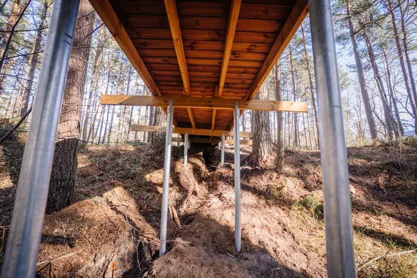 Ormandaki yükseltilmiş ahşap bir geçidin alt manzarası eğimli bir arazide düz olmayan kumlu toprağa sürülen vida yığınları tarafından destekleniyor..