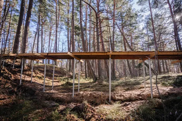 Ormanda inşaat halindeki ahşap kaldırım. Uzun çam ağaçlarıyla çevrili düz kumlu zemindeki metal vida yığınlarıyla destekleniyor..